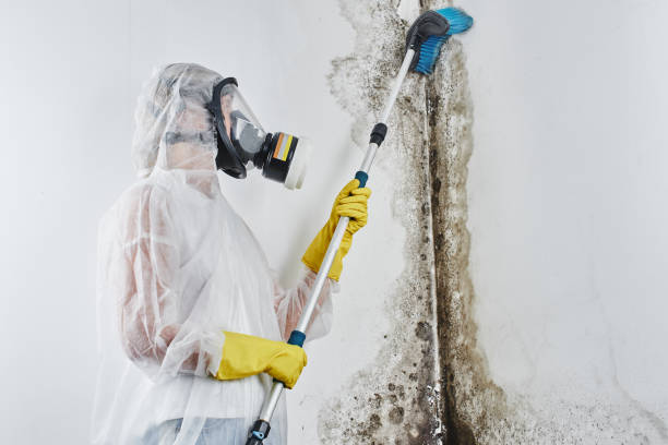 Carpet water damage restoration in Osceola, IA